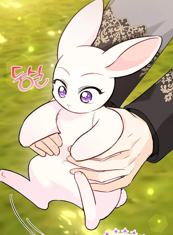 Little Rabbit and the Big Bad Leopard Chapter 127 page 69 - 