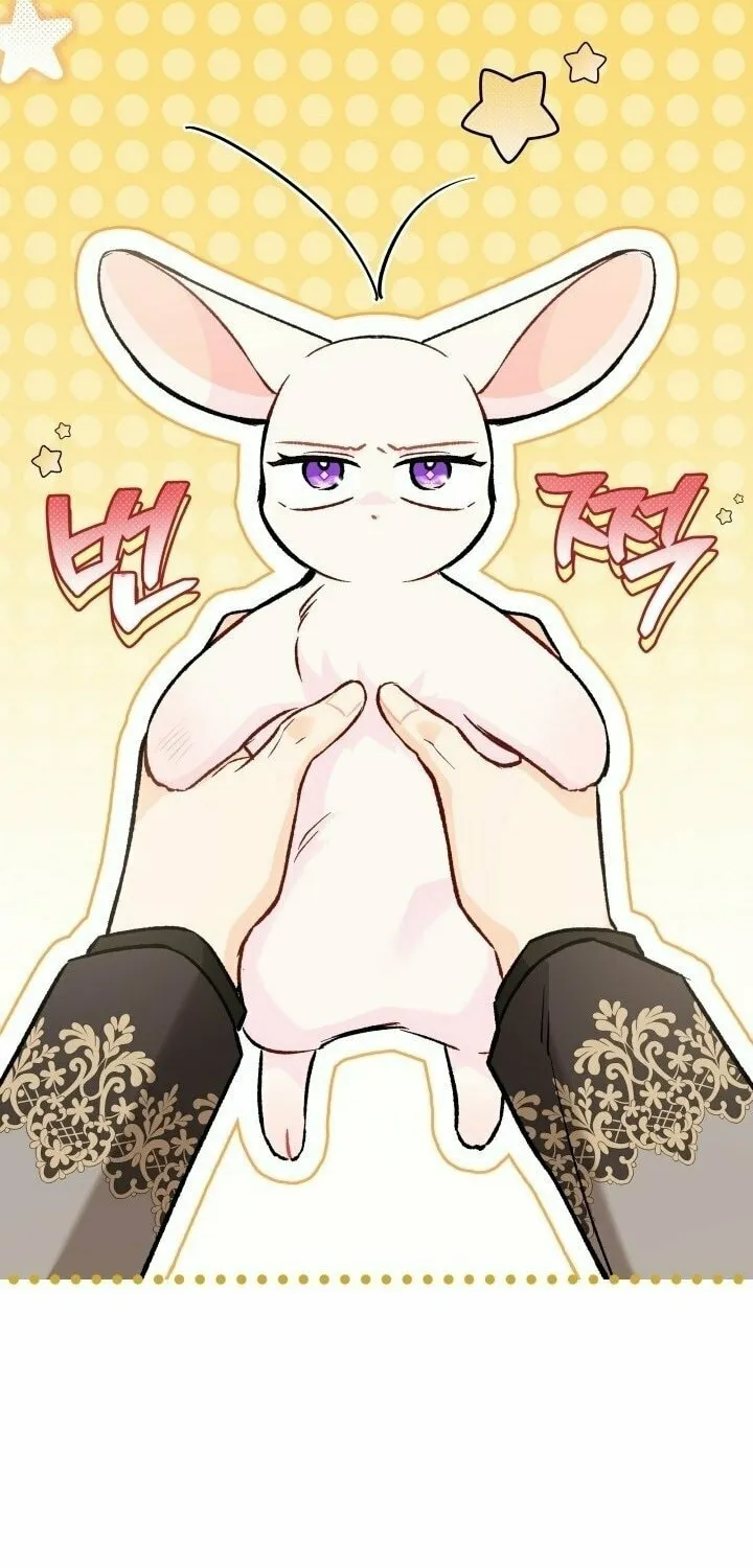 Little Rabbit and the Big Bad Leopard Chapter 128 page 18 - 