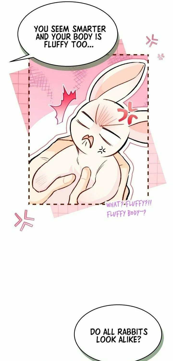 Little Rabbit and the Big Bad Leopard Chapter 128 page 20 - 