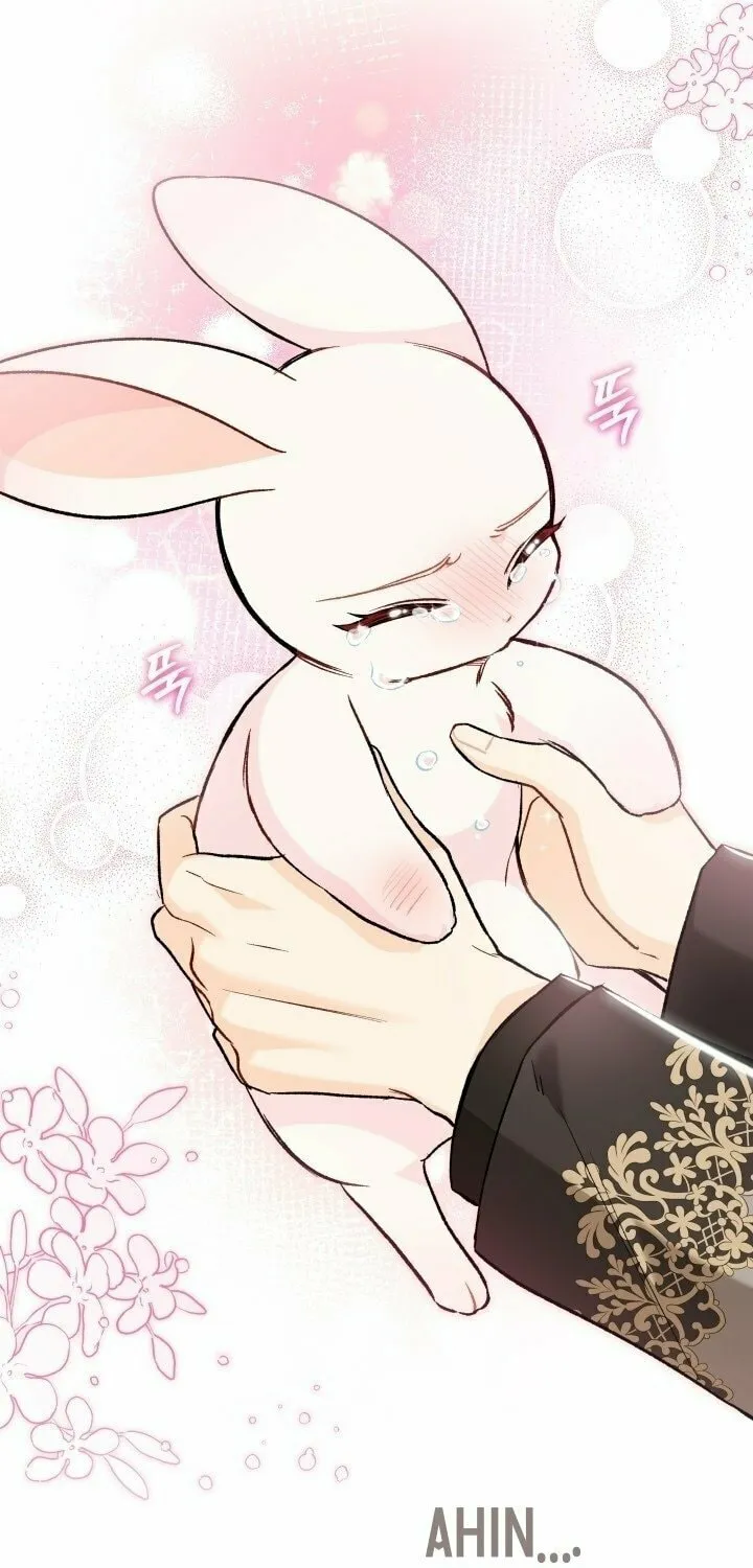 Little Rabbit and the Big Bad Leopard Chapter 128 page 25 - 