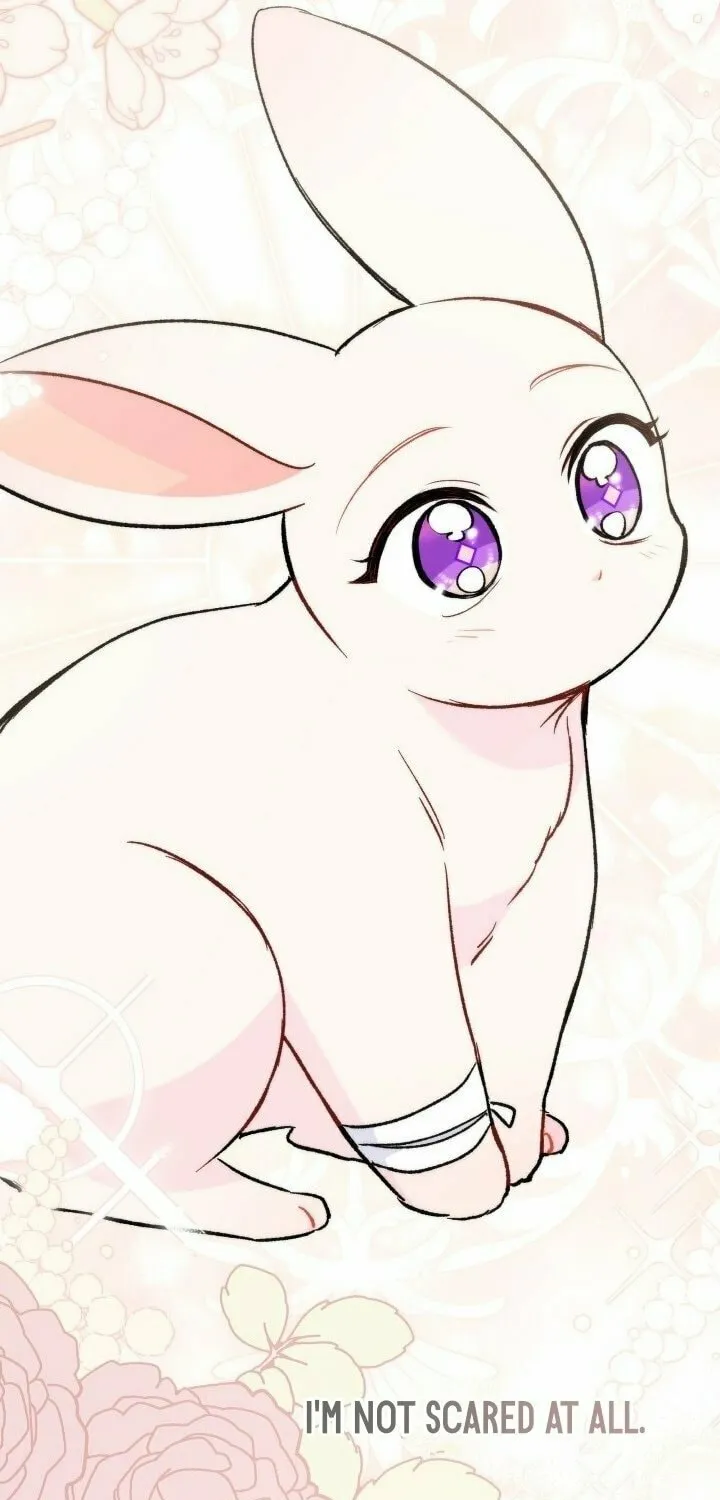 Little Rabbit and the Big Bad Leopard Chapter 128 page 61 - 