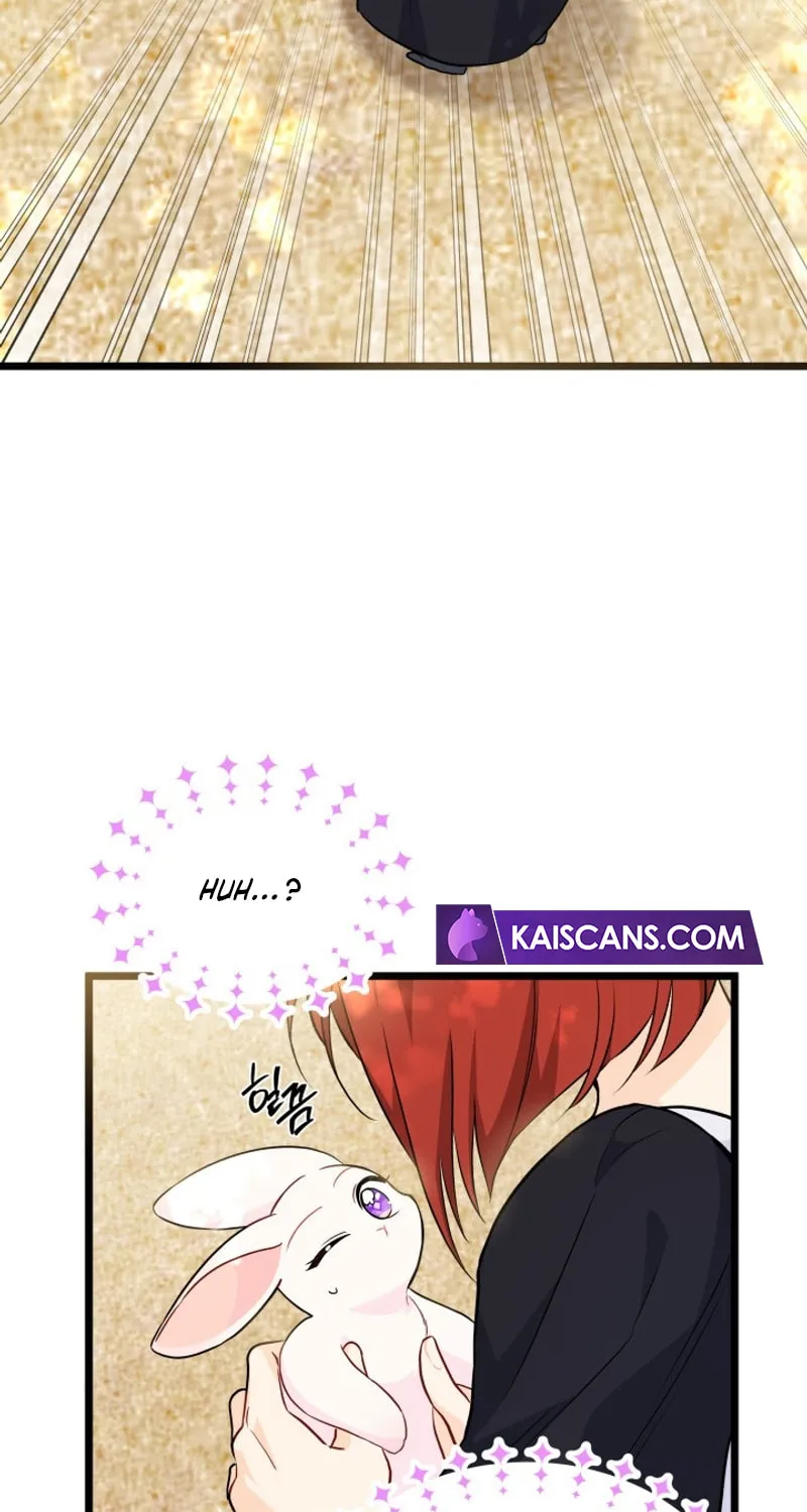 Little Rabbit and the Big Bad Leopard Chapter 133 page 72 - 