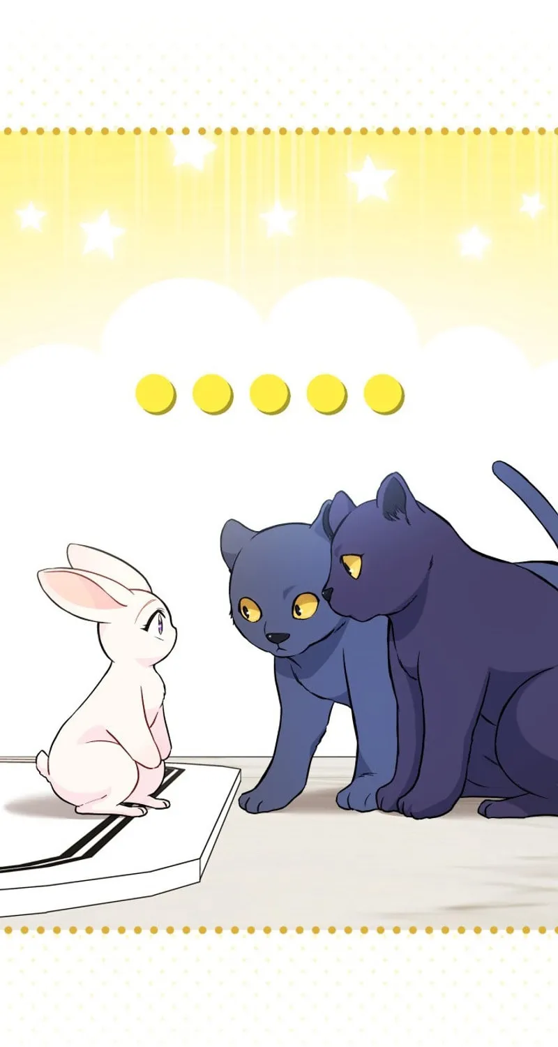 Little Rabbit and the Big Bad Leopard Chapter 134 page 17 - 
