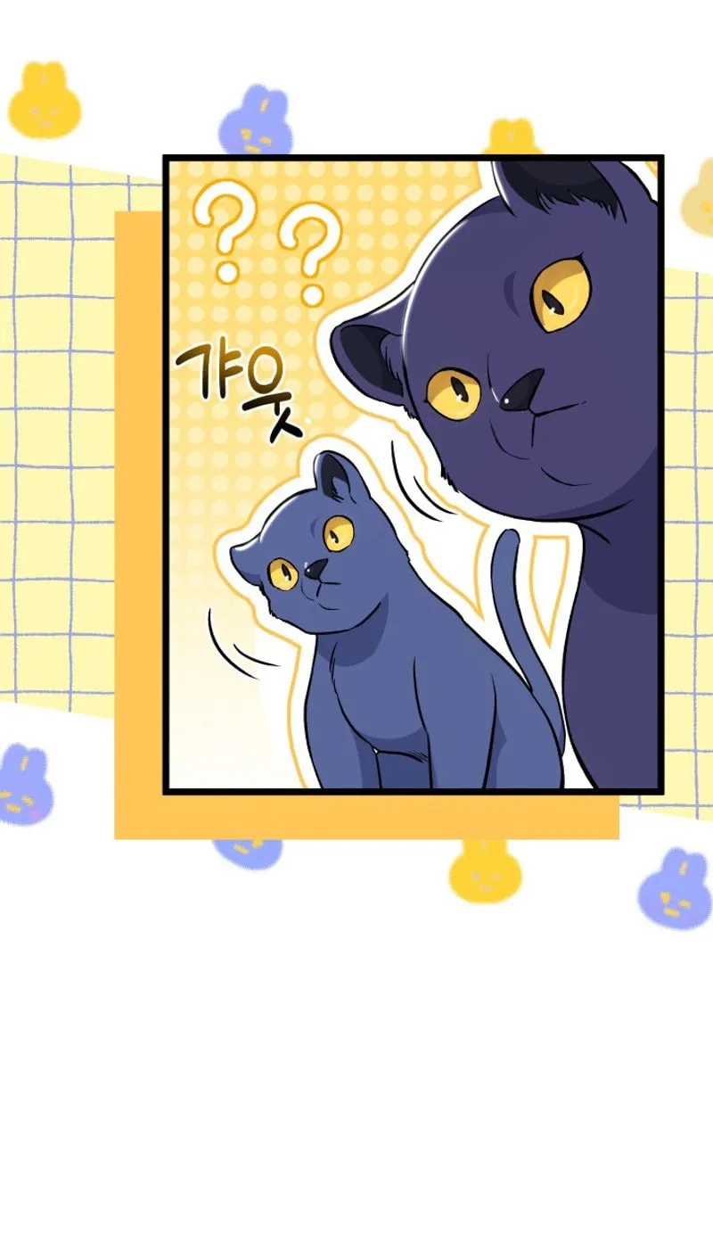 Little Rabbit and the Big Bad Leopard Chapter 134 page 19 - 