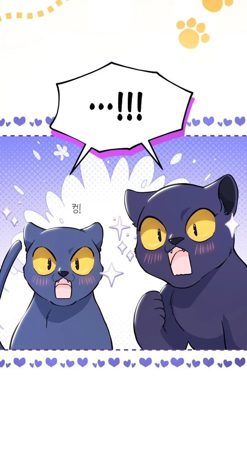 Little Rabbit and the Big Bad Leopard Chapter 134 page 25 - 