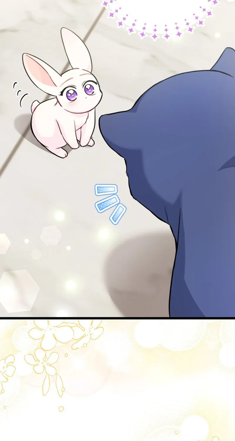 Little Rabbit and the Big Bad Leopard Chapter 134 page 40 - 