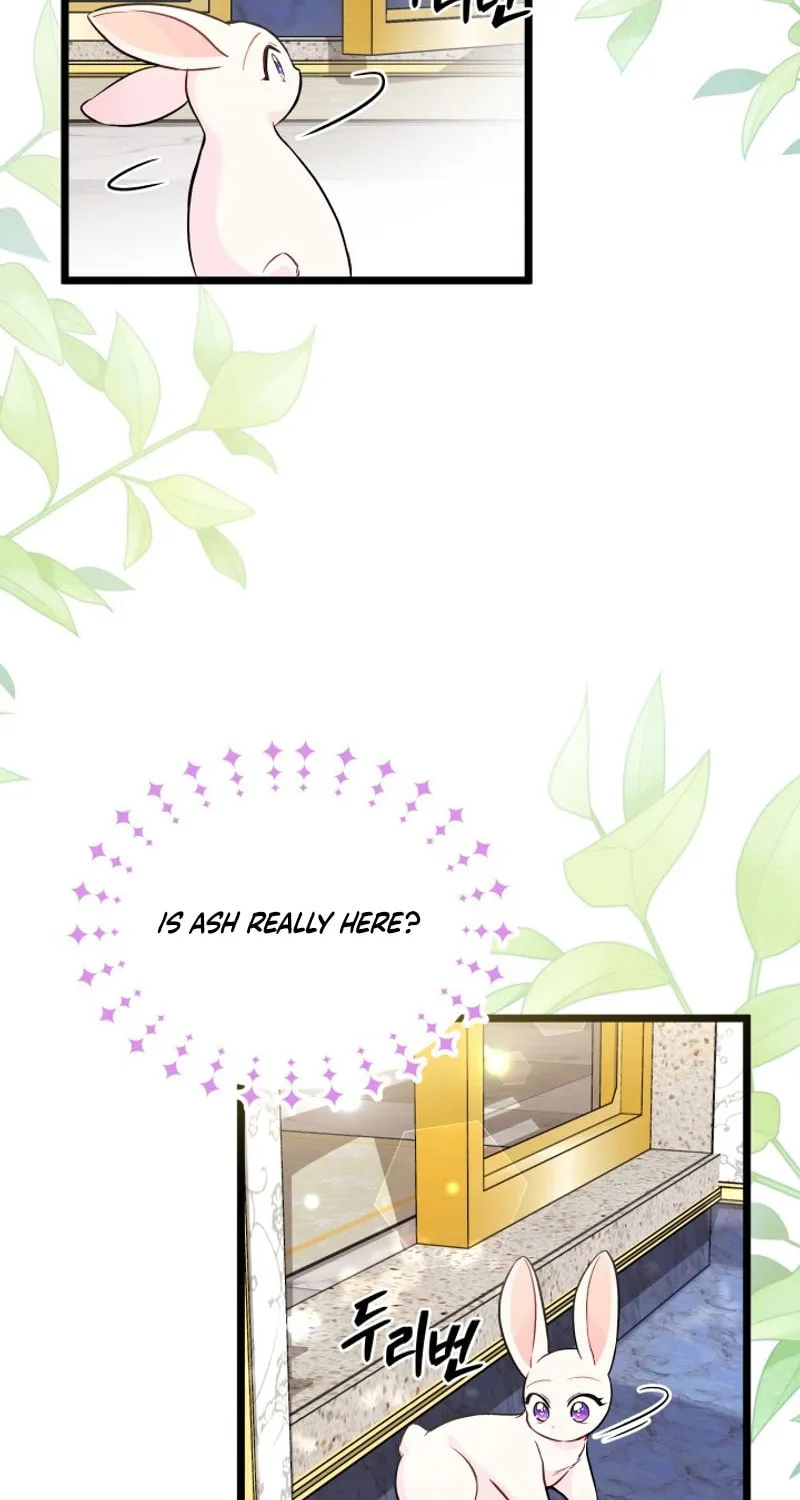 Little Rabbit and the Big Bad Leopard Chapter 134 page 5 - 