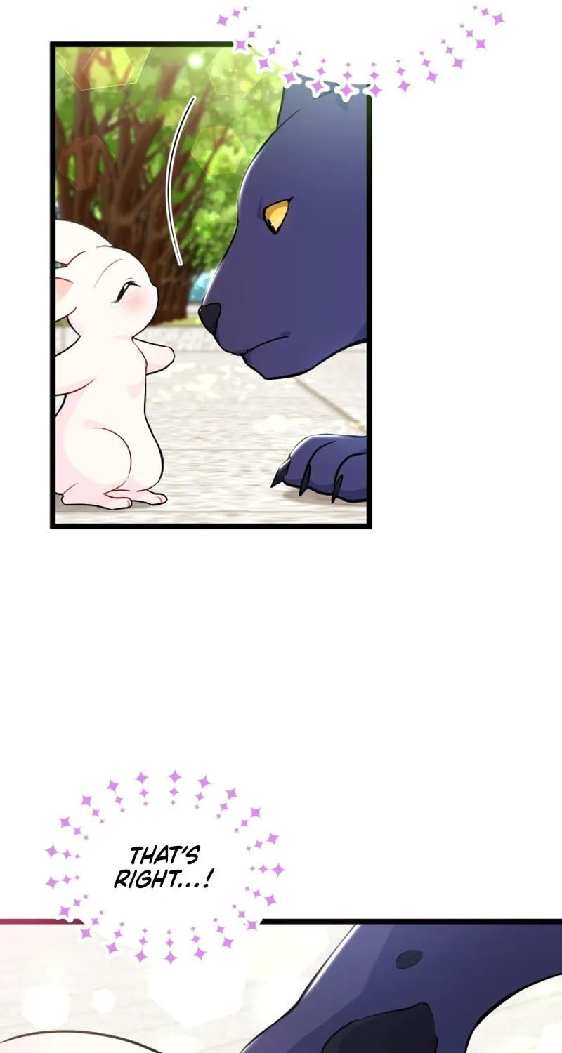 Little Rabbit and the Big Bad Leopard Chapter 134 page 76 - 