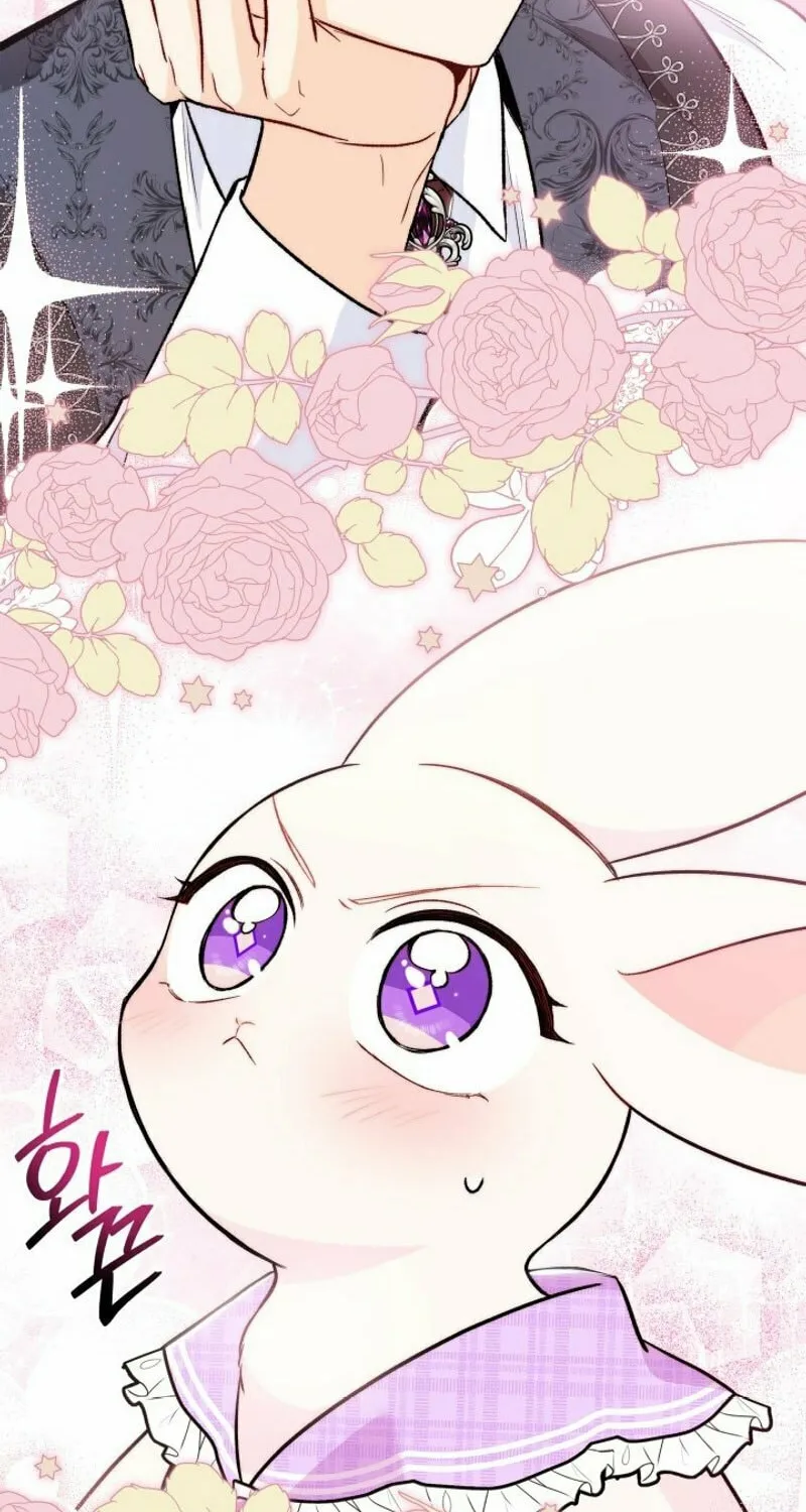 Little Rabbit and the Big Bad Leopard Chapter 135 page 62 - 