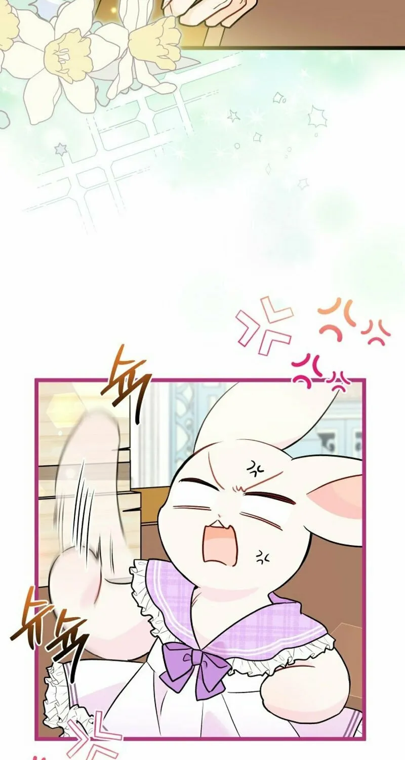 Little Rabbit and the Big Bad Leopard Chapter 135 page 72 - 