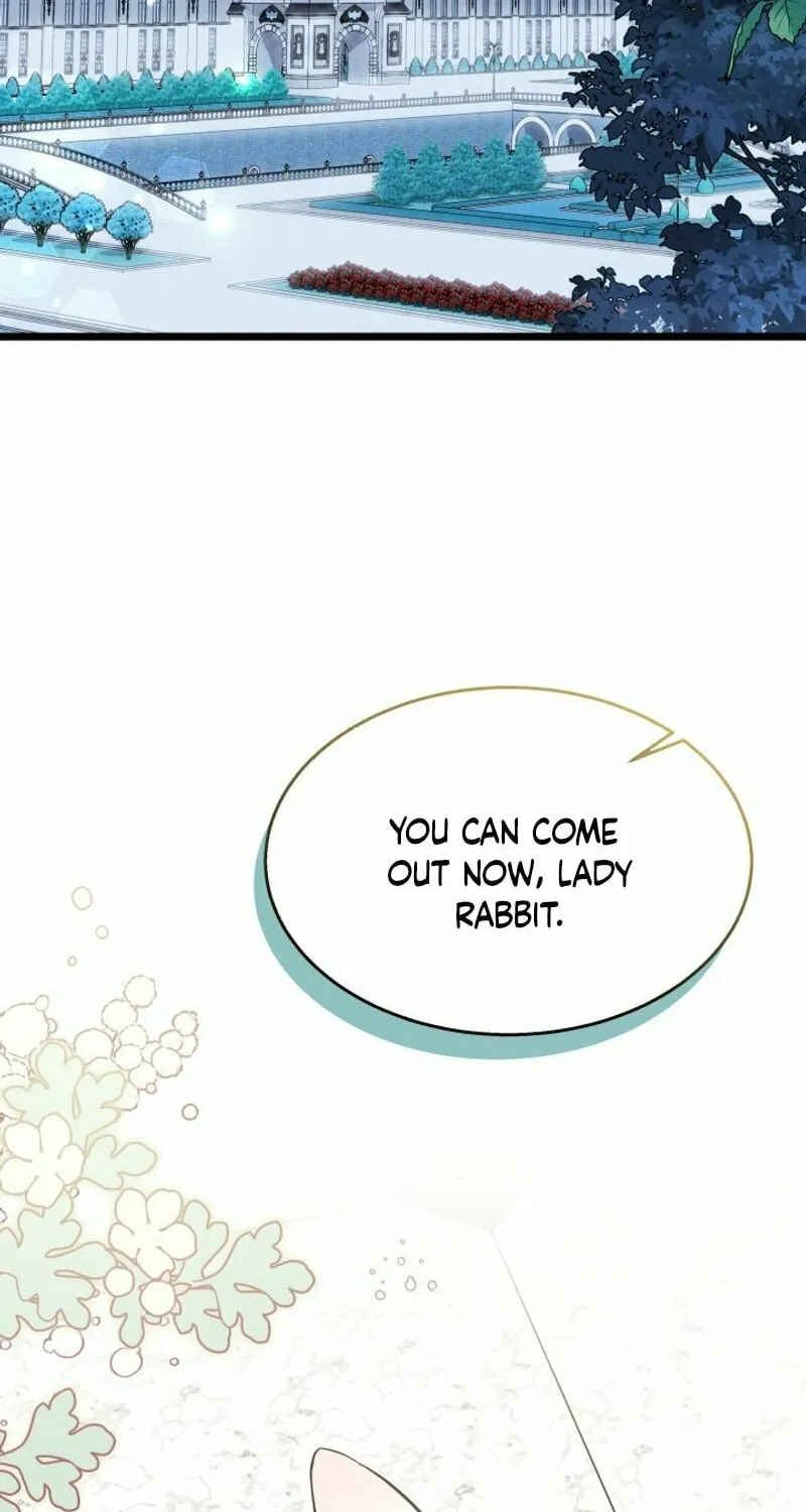Little Rabbit and the Big Bad Leopard Chapter 139 page 3 - 