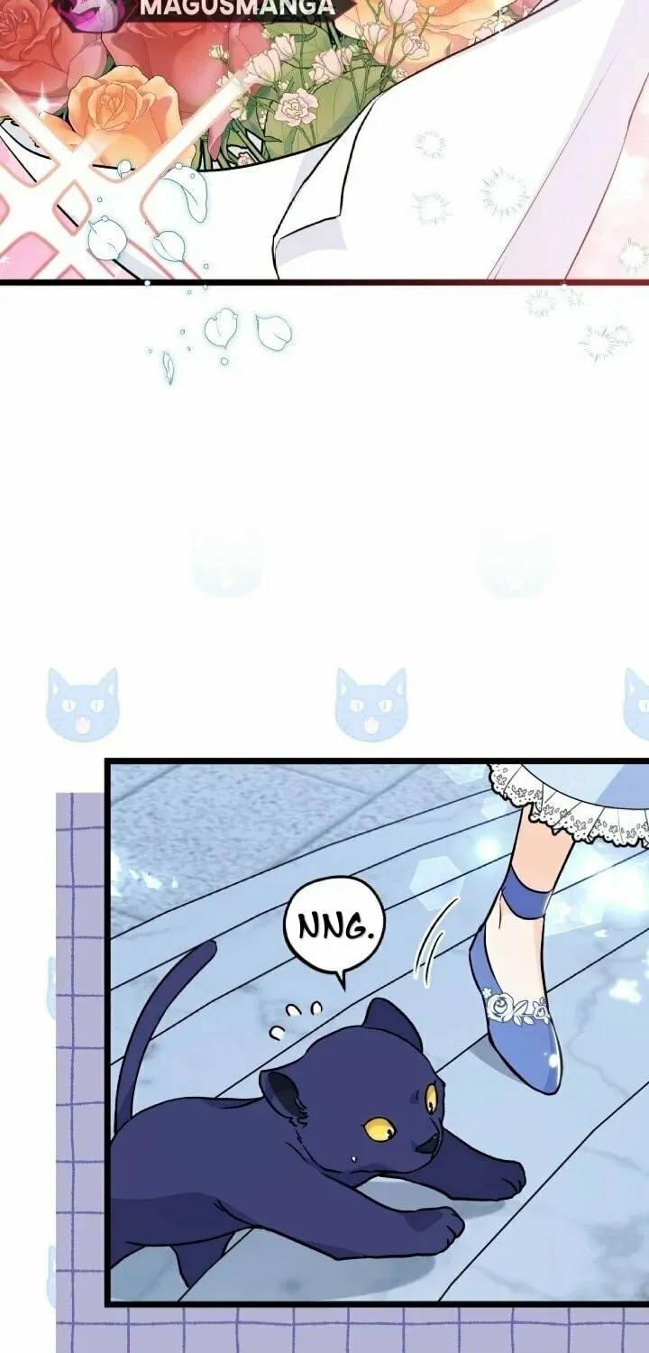 Little Rabbit and the Big Bad Leopard Chapter 143 page 5 - 