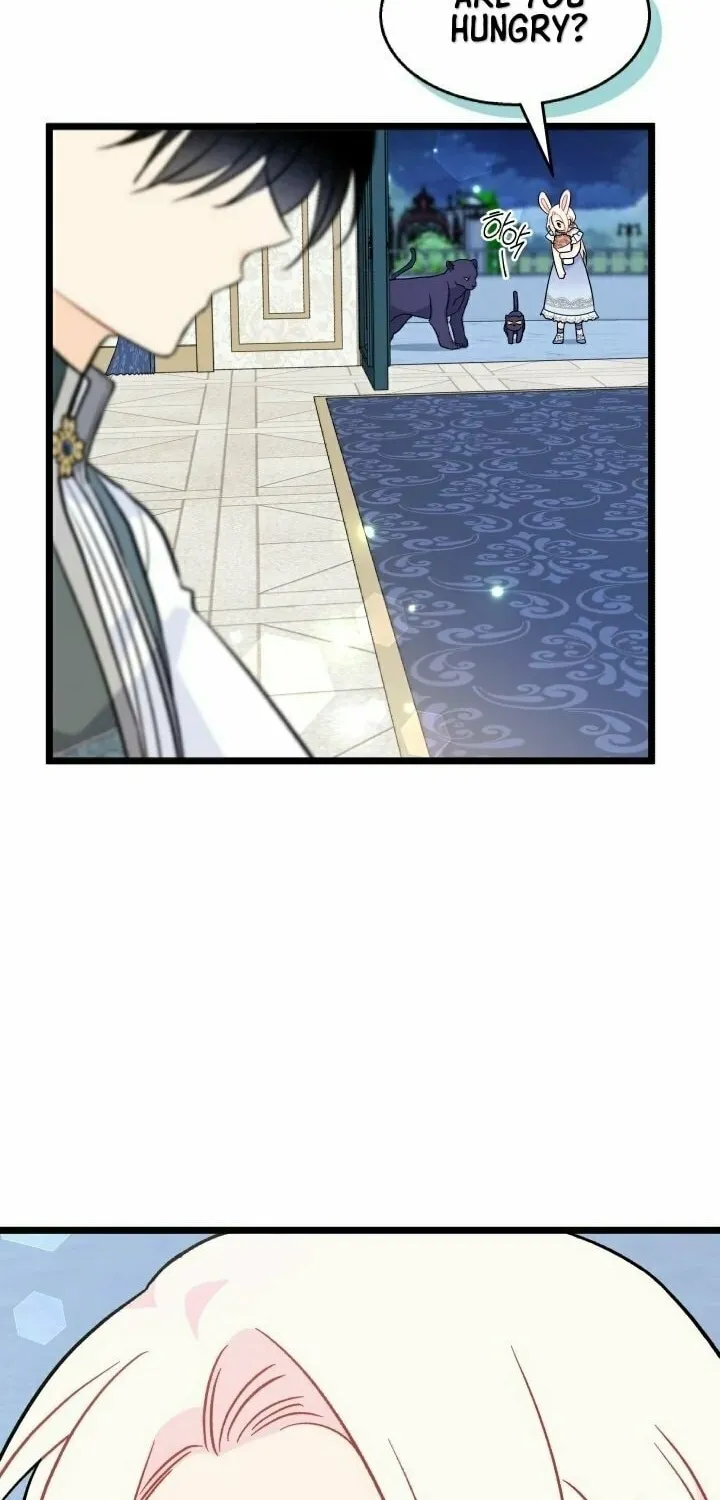 Little Rabbit and the Big Bad Leopard Chapter 143 page 8 - 