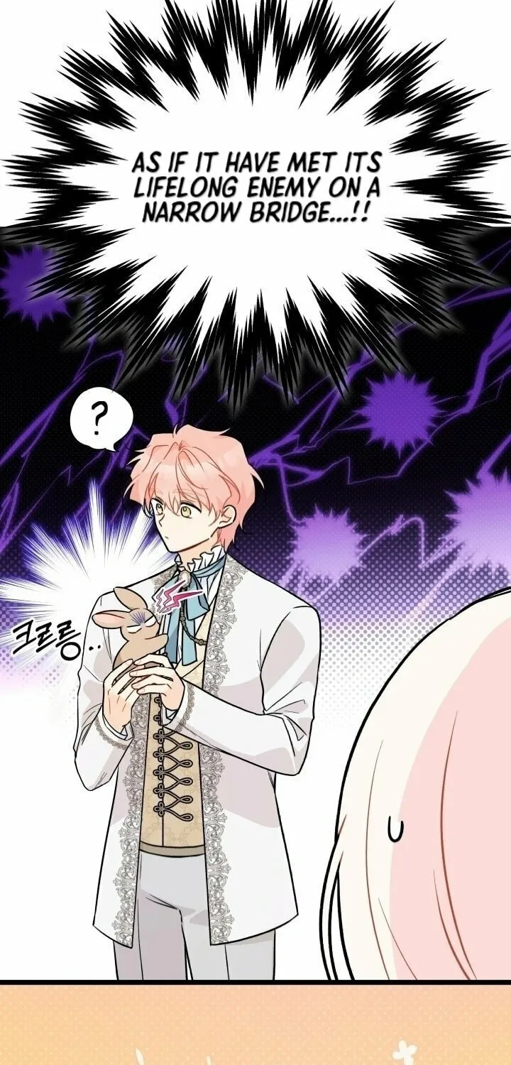 Little Rabbit and the Big Bad Leopard Chapter 145 page 46 - 