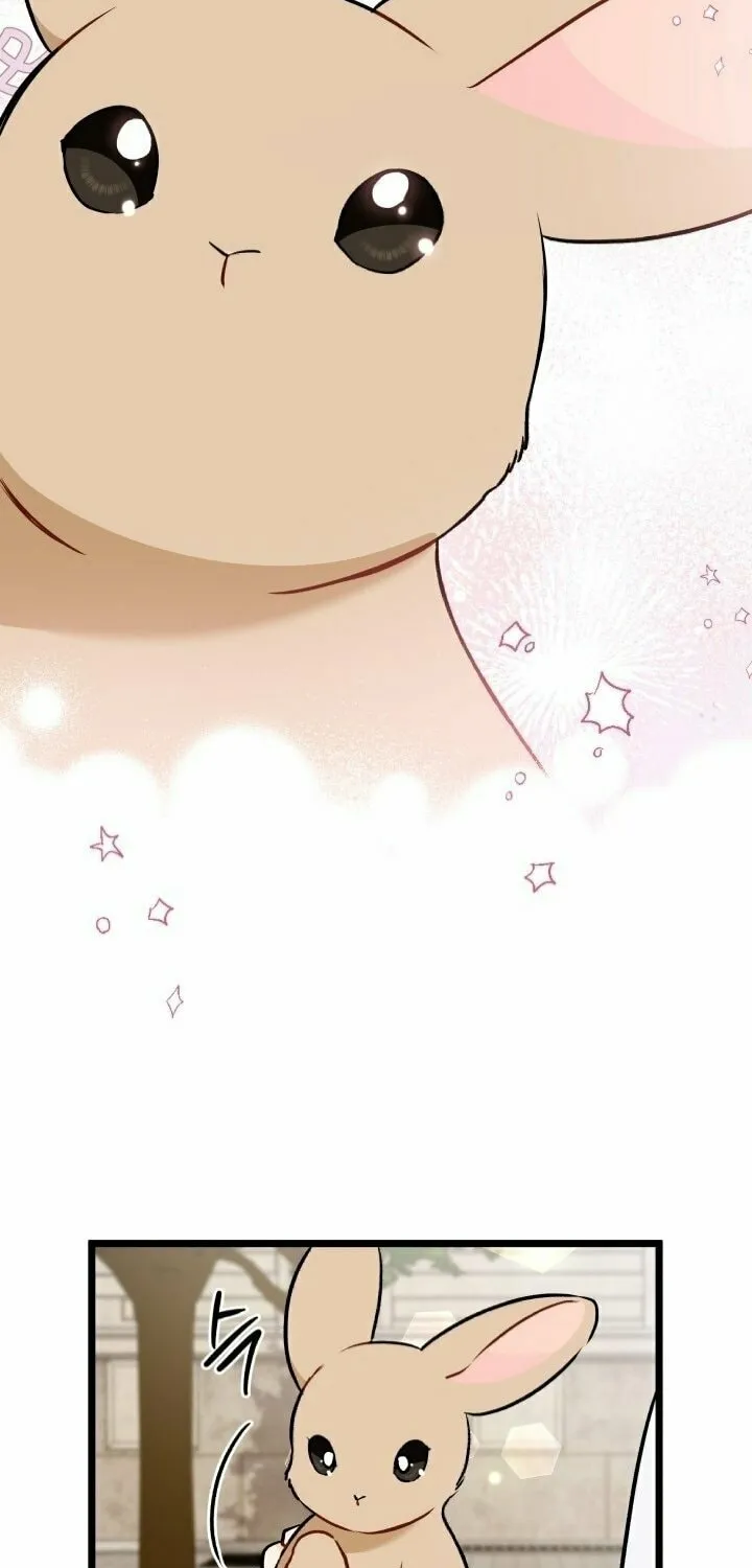 Little Rabbit and the Big Bad Leopard Chapter 145 page 75 - 