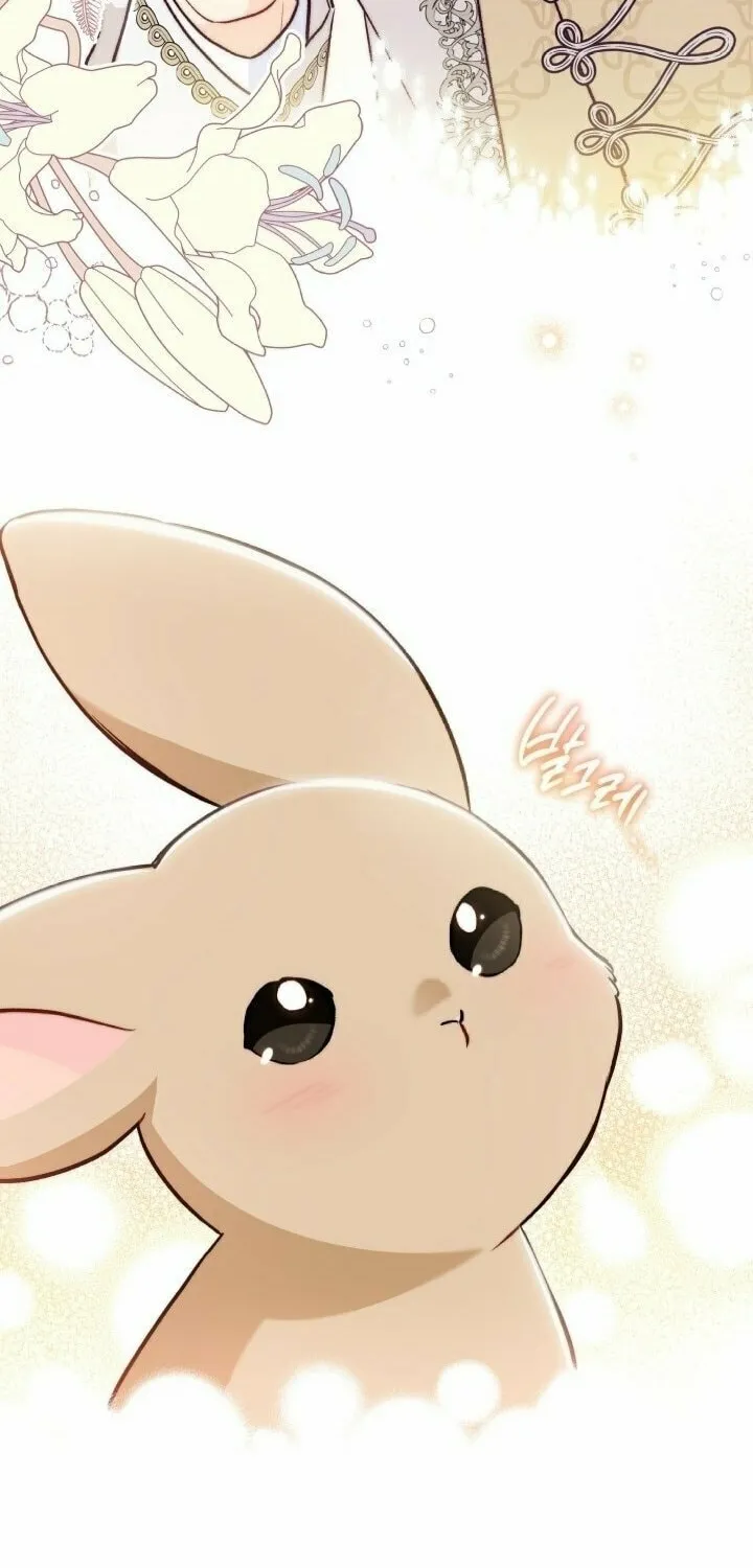 Little Rabbit and the Big Bad Leopard Chapter 145 page 81 - 