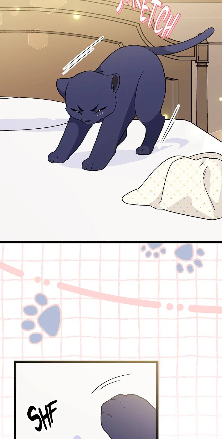 Little Rabbit and the Big Bad Leopard Chapter 148.5 page 24 - 