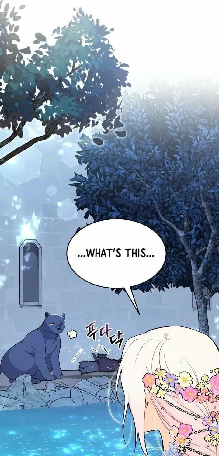 Little Rabbit and the Big Bad Leopard Chapter 148 page 74 - 