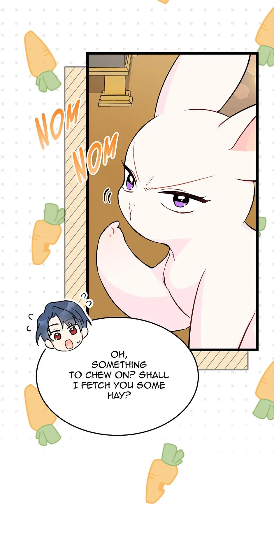 Little Rabbit and the Big Bad Leopard Chapter 149.8 page 11 - 