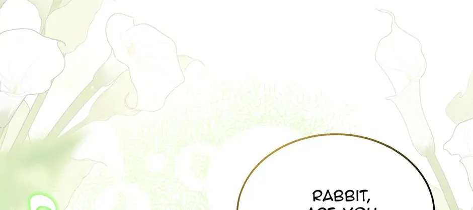 Little Rabbit and the Big Bad Leopard Chapter 155 page 82 - 