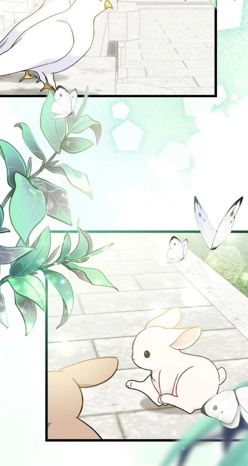 Little Rabbit and the Big Bad Leopard Chapter 171 page 3 - 