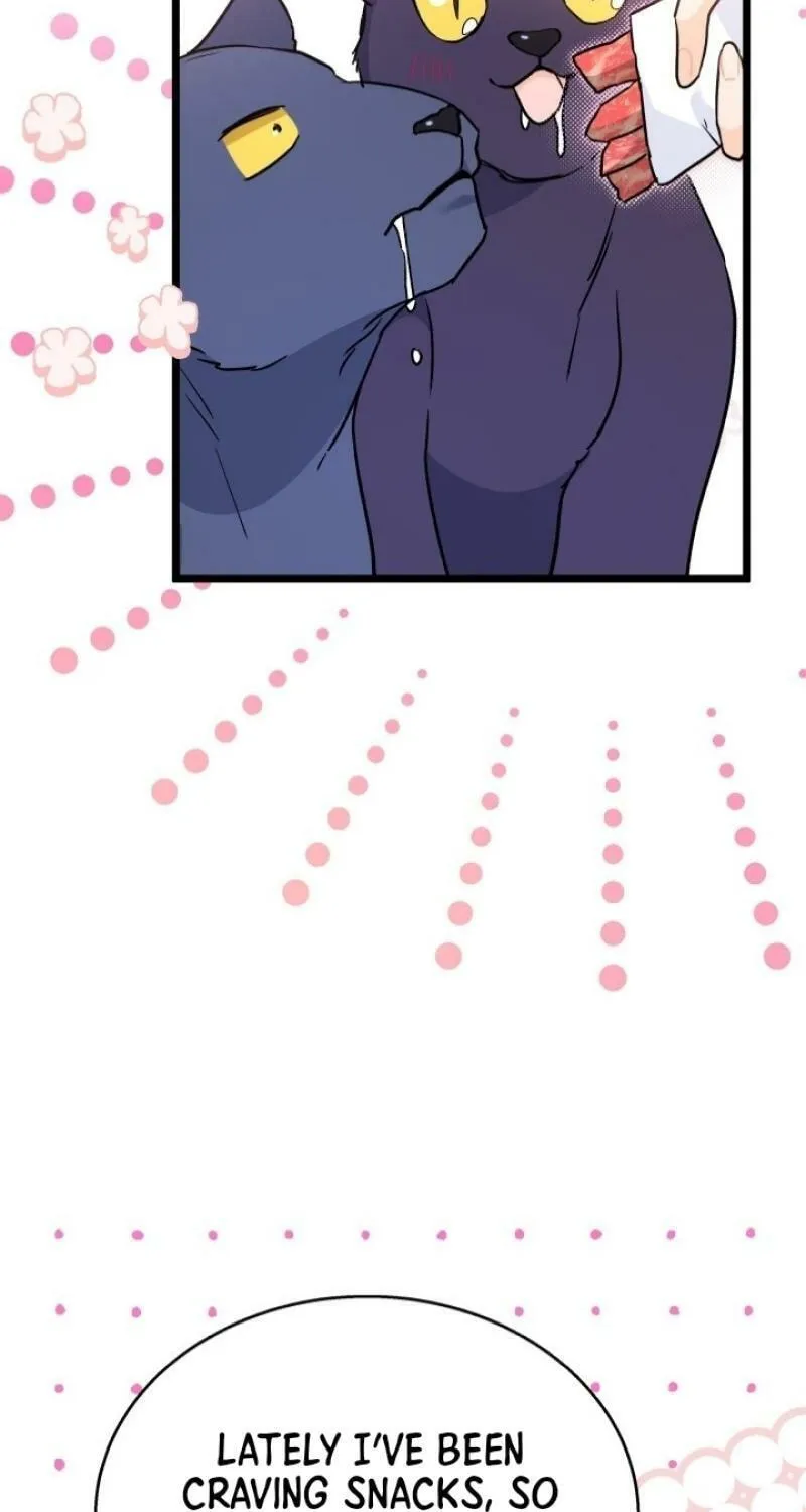 Little Rabbit and the Big Bad Leopard Chapter 171 page 57 - 