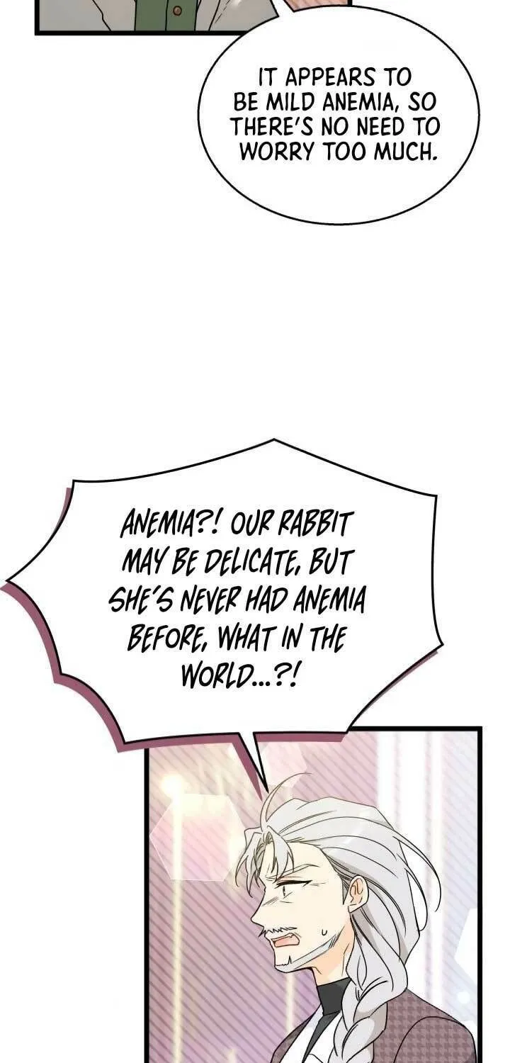Little Rabbit and the Big Bad Leopard Chapter 173 page 71 - 