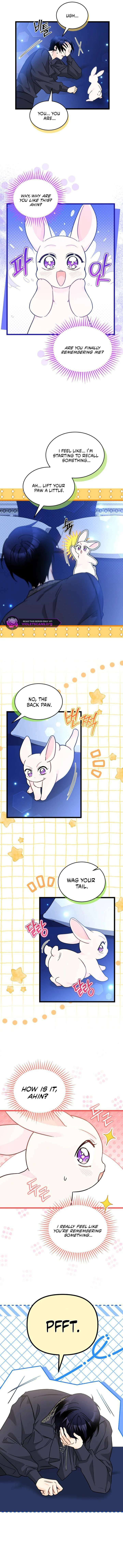 Little Rabbit and the Big Bad Leopard Chapter 199 page 8 - 