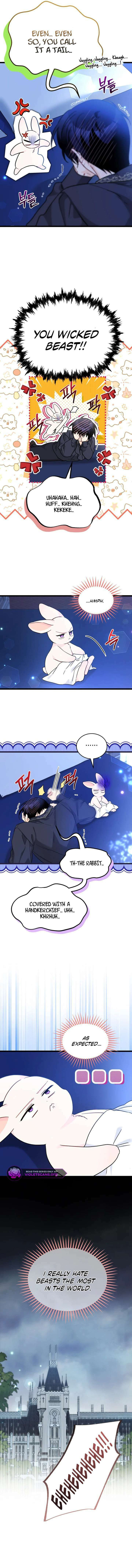 Little Rabbit and the Big Bad Leopard Chapter 199 page 9 - 