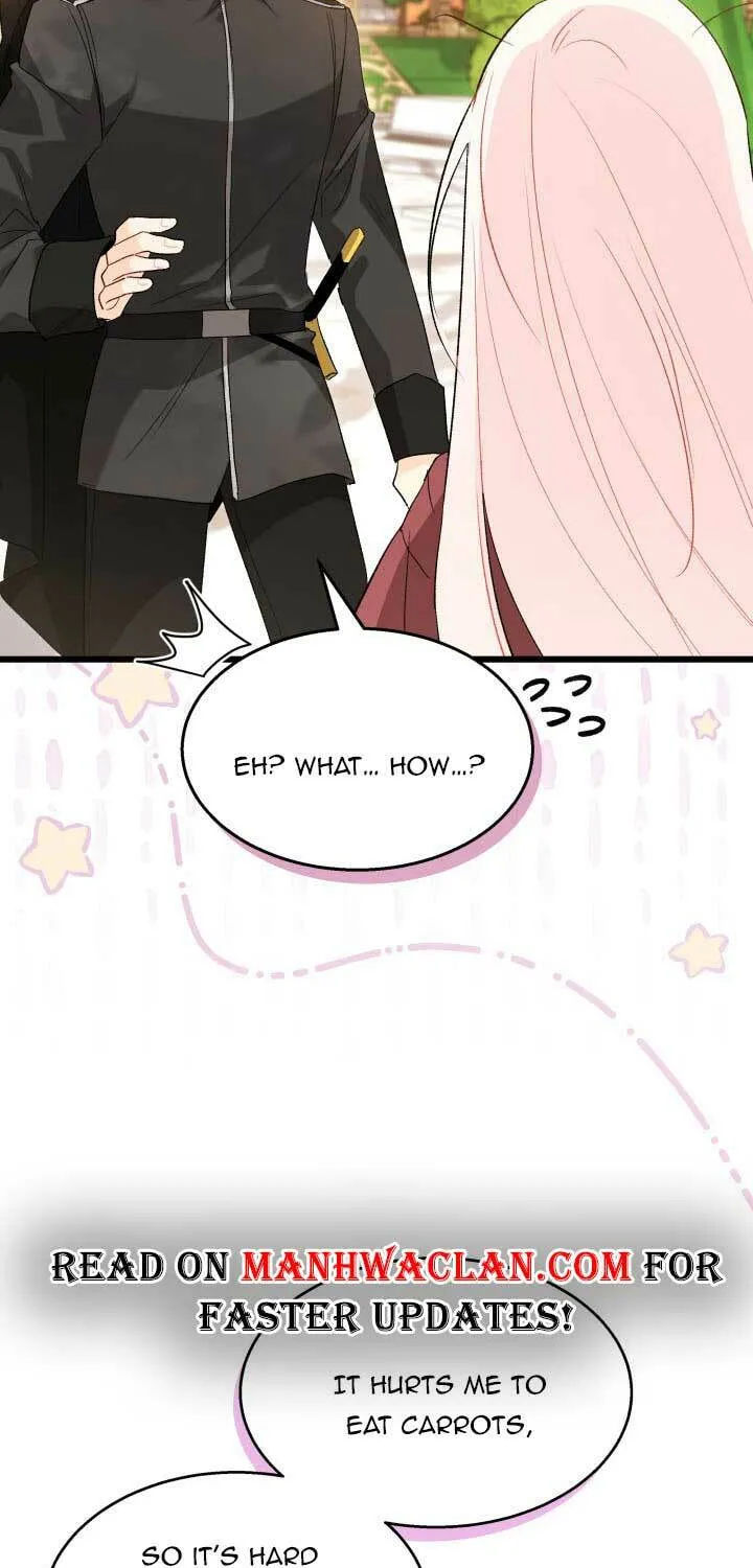 Little Rabbit and the Big Bad Leopard Chapter 85.5 page 11 - 