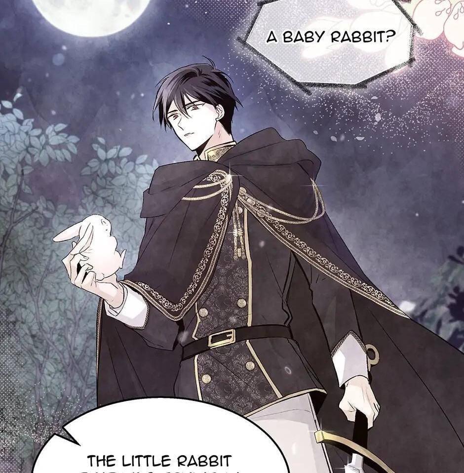 Little Rabbit and the Big Bad Leopard Chapter 113 page 88 - 