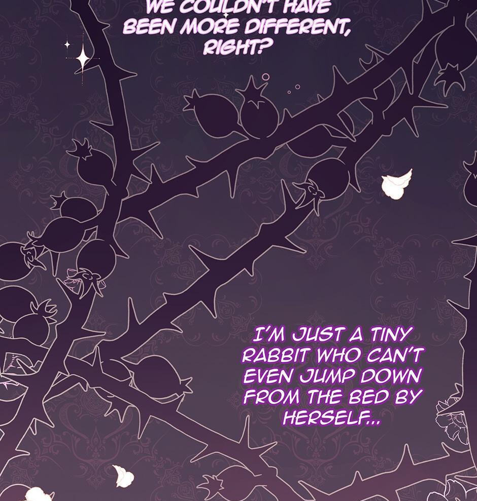 Little Rabbit and the Big Bad Leopard Chapter 39 page 66 - 