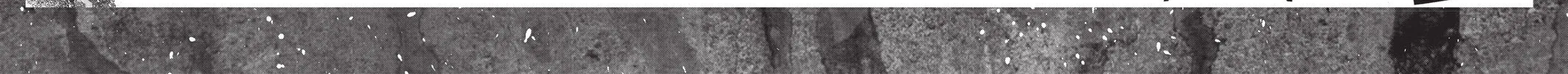 Read Livingstone chapter 22 image 87 on Lezhin