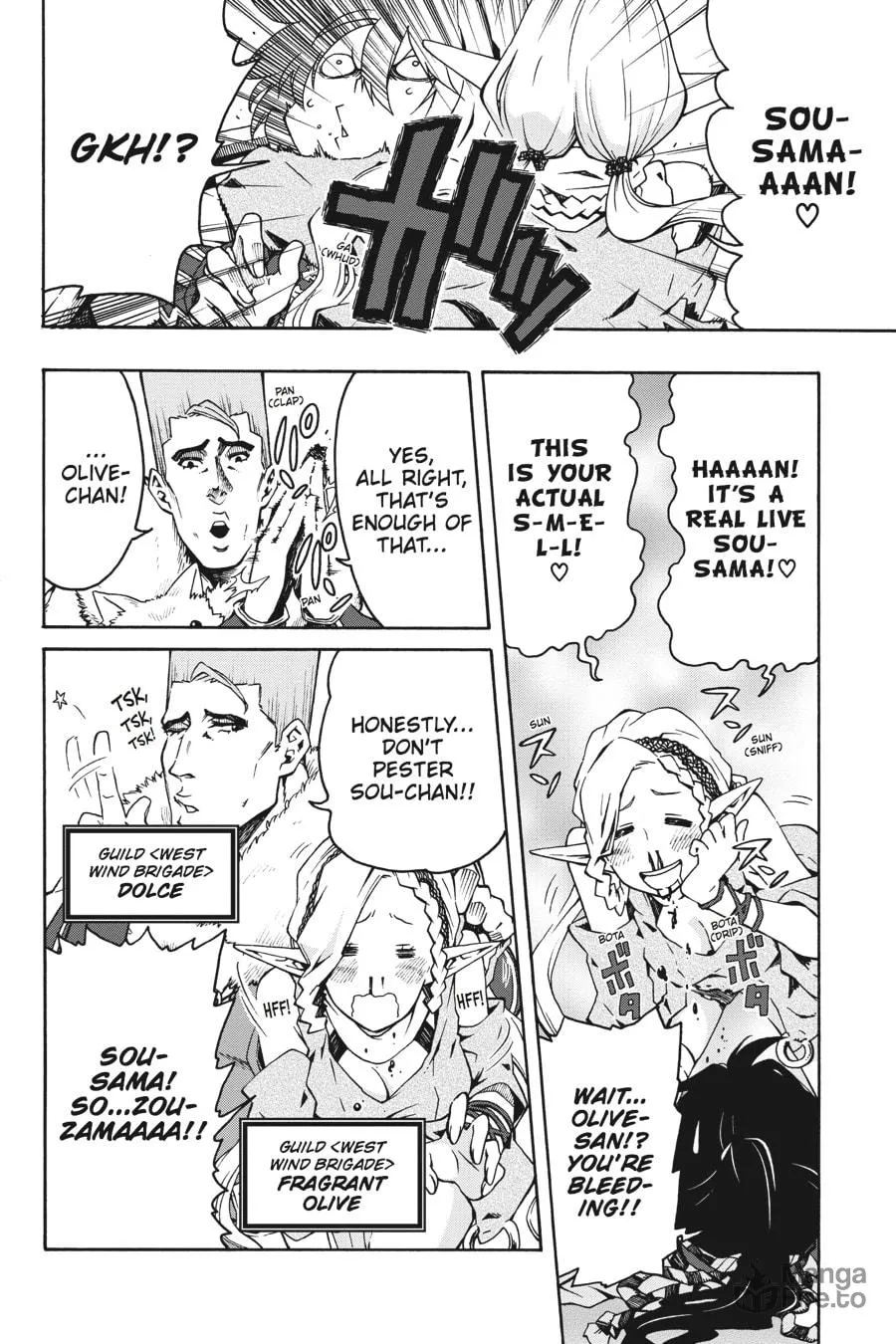Read Log Horizon: The West Wind Brigade chapter 2 image 11 on Lezhin