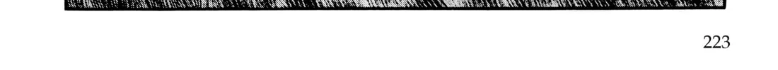 Read Lone Wolf and Cub chapter 120 image 127 on Lezhin