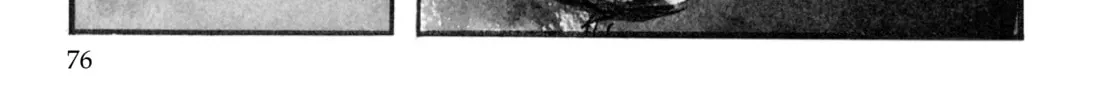 Read Lone Wolf and Cub chapter 139 image 13 on Lezhin