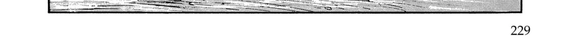 Read Lone Wolf and Cub chapter 81 image 73 on Lezhin