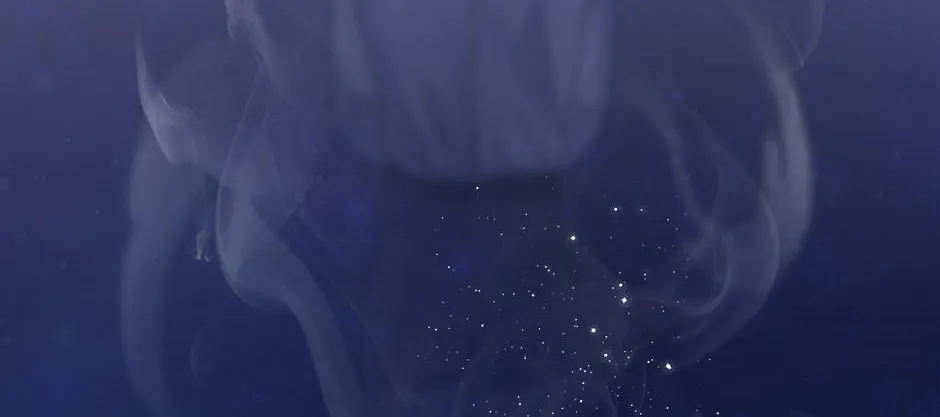 Read Long Live Hate chapter 34 image 189 on Lezhin