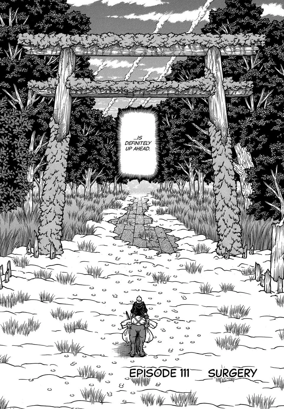 Read Longing for Home chapter 111 image 1 on Lezhin