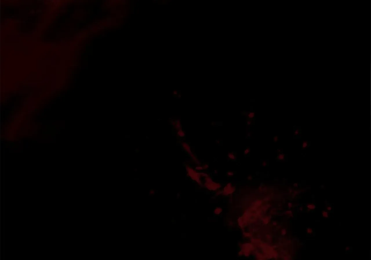Looking for My One-Night Villainess Chapter 1 page 86 - 
