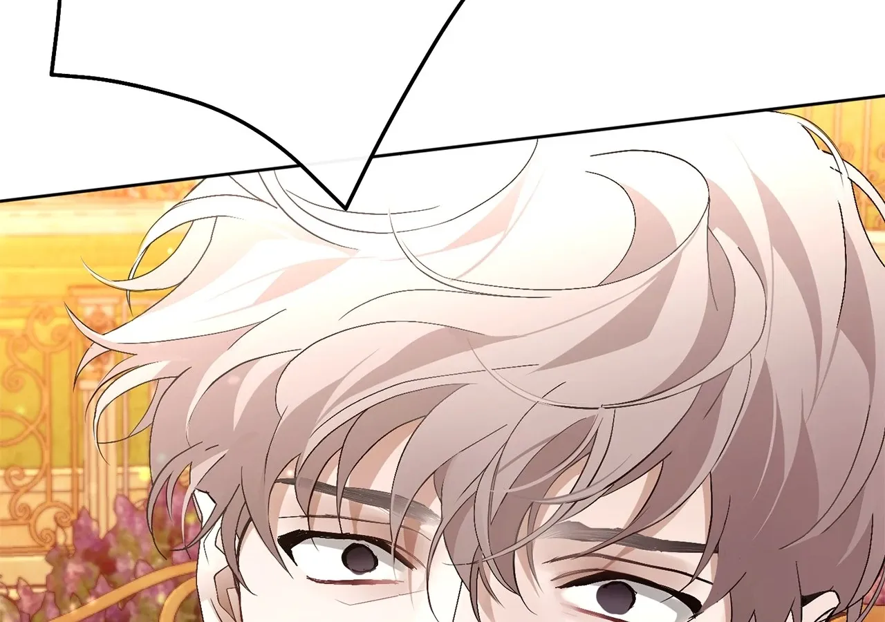 Looking for My One-Night Villainess Chapter 27 page 146 - 