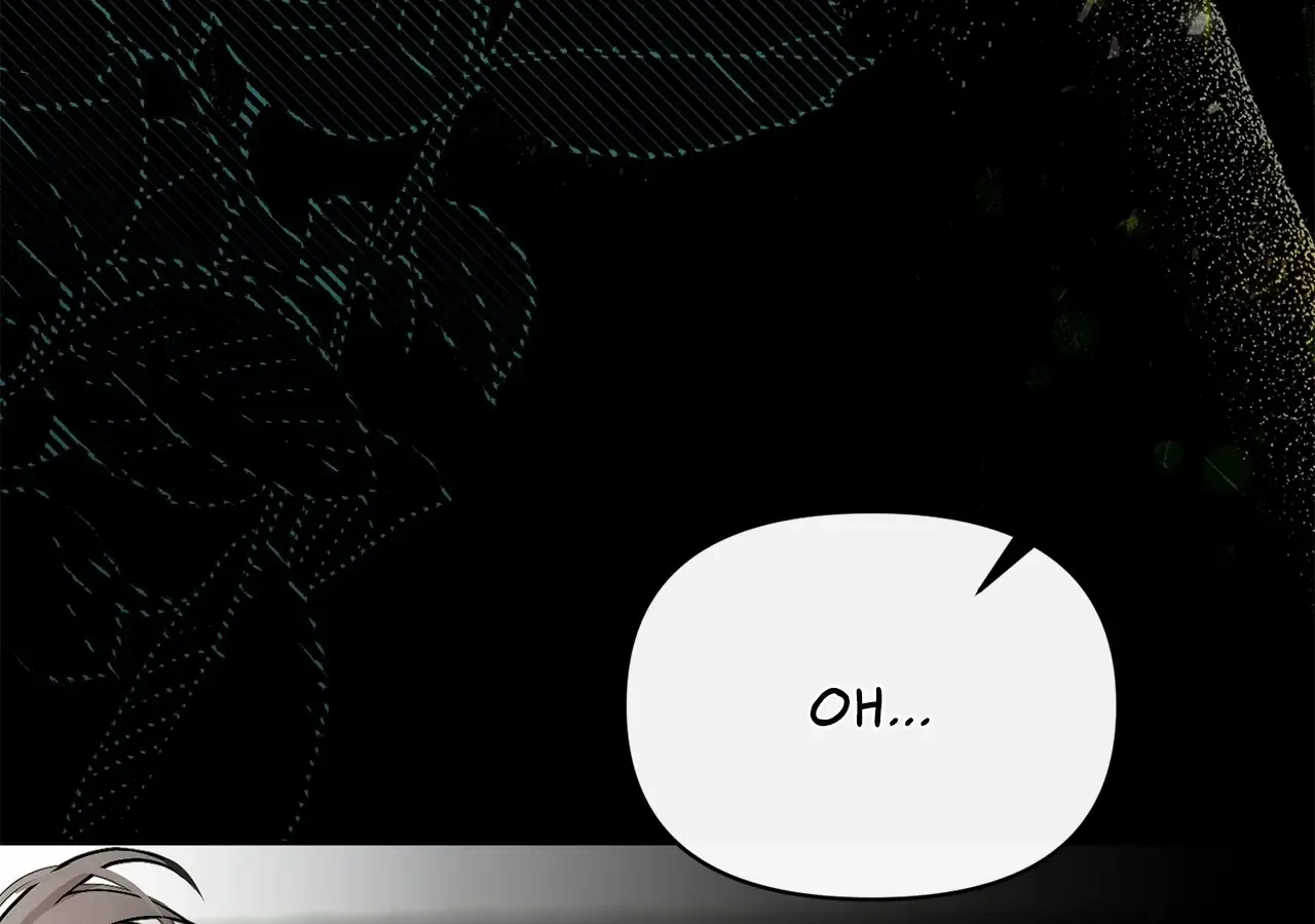 Looking for My One-Night Villainess Chapter 31 page 245 - 