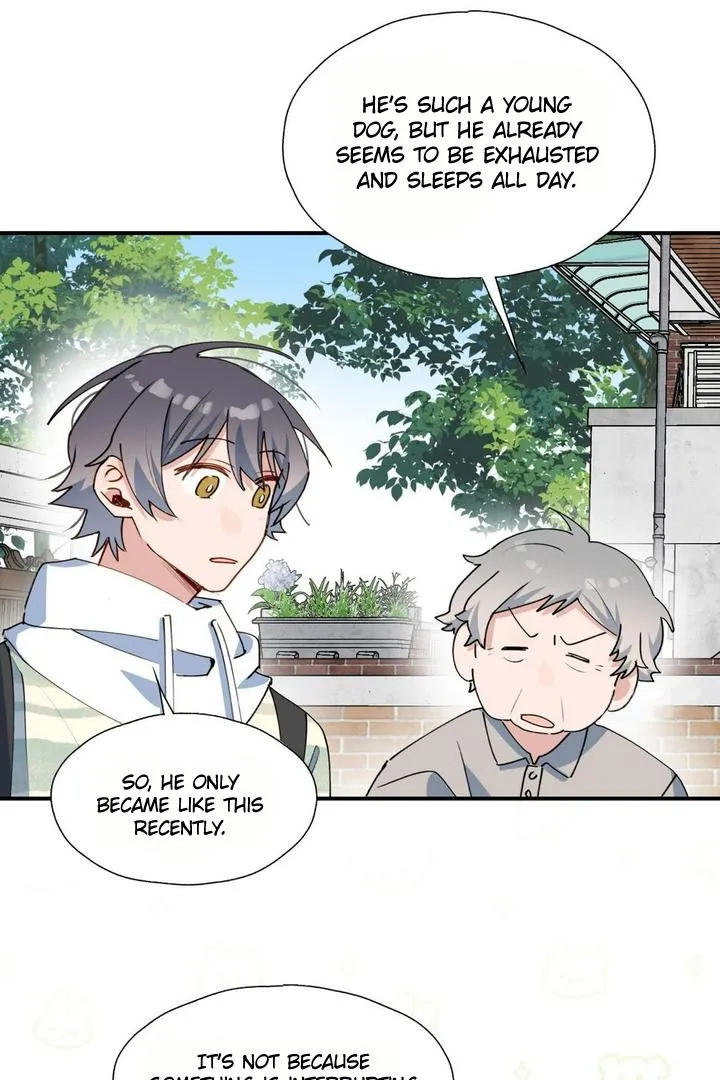 Lord Demon King Always Teases Me Chapter 49 page 11 - 