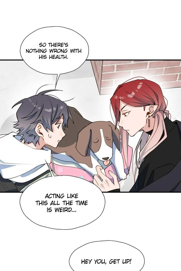 Lord Demon King Always Teases Me Chapter 49 page 14 - 