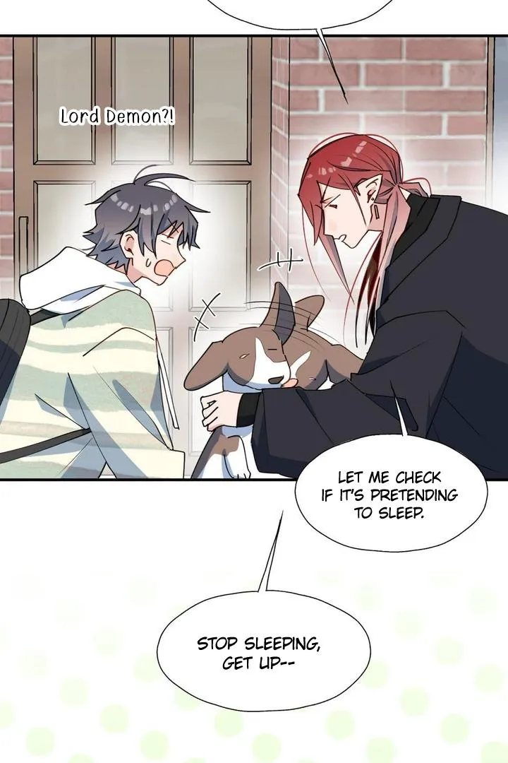 Lord Demon King Always Teases Me Chapter 49 page 15 - 