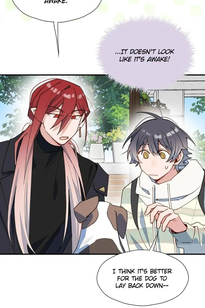 Lord Demon King Always Teases Me Chapter 49 page 17 - 