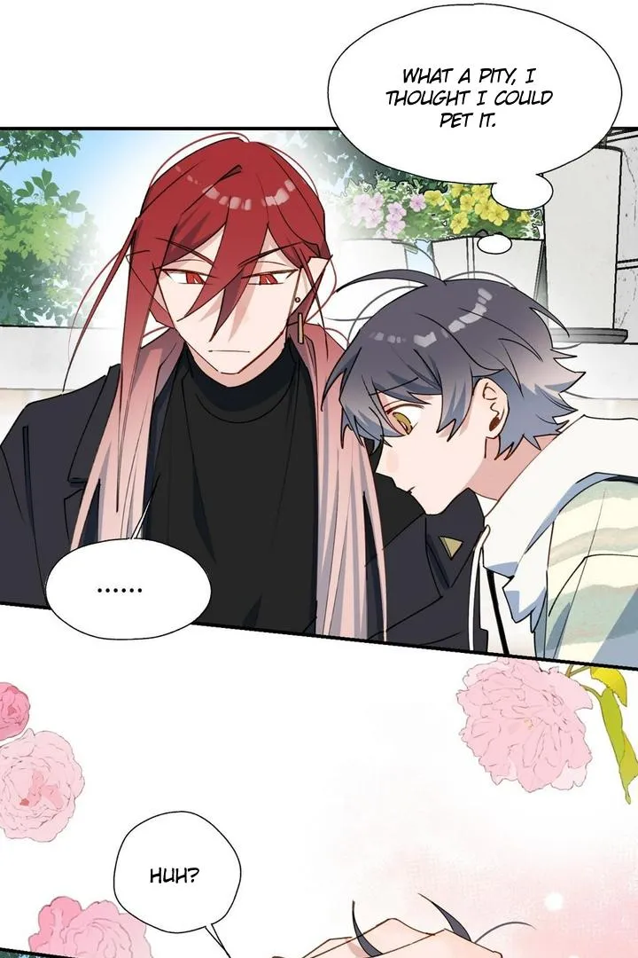 Lord Demon King Always Teases Me Chapter 49 page 20 - 