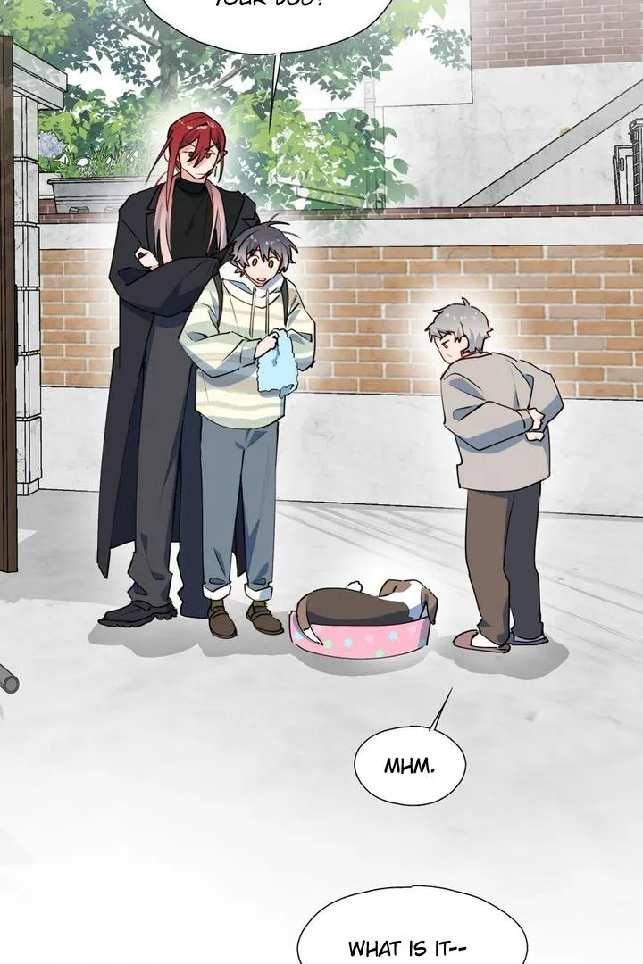 Lord Demon King Always Teases Me Chapter 49 page 3 - 