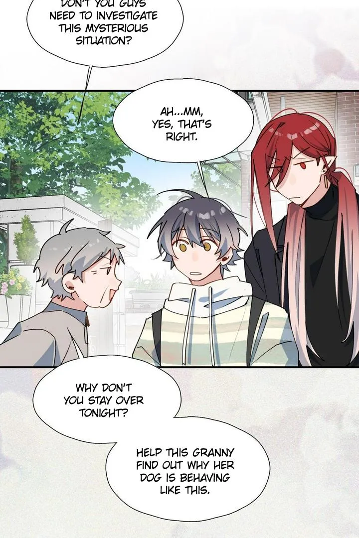 Lord Demon King Always Teases Me Chapter 49 page 25 - 