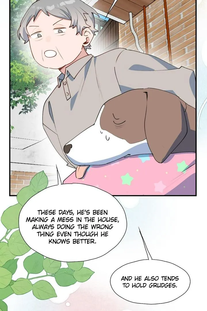 Lord Demon King Always Teases Me Chapter 49 page 7 - 